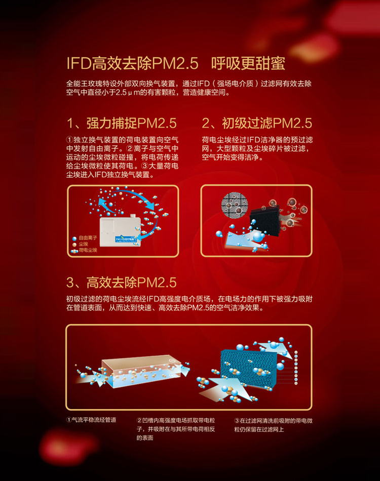 格力全能王玫瑰特設(shè)外部雙向換氣裝置，通過IFD（強(qiáng)場(chǎng)電介質(zhì)）過濾網(wǎng)有效去除空氣中直徑很小的有害顆粒，營(yíng)造健康空間